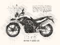 #243 BMW F 650 GS (Special): Artwork | Da Vinci Style | BMW GS Poster | Instant Download 